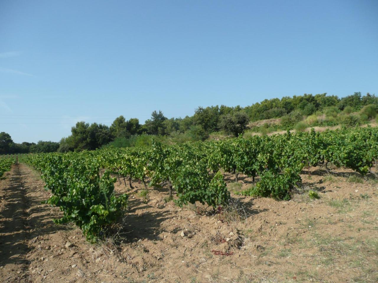 Gite Du Serre De Boudre Climatise, Spa Permanent Buisson Kültér fotó